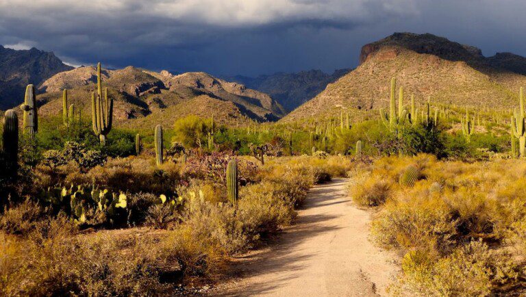 Sabino
