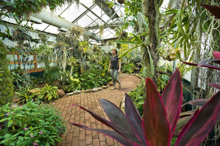 Tucson Botanical Gardens